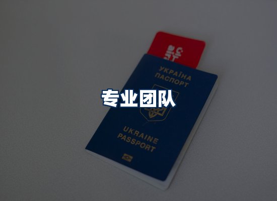 专业团队